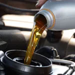 Cara Mengganti Oli Mobil